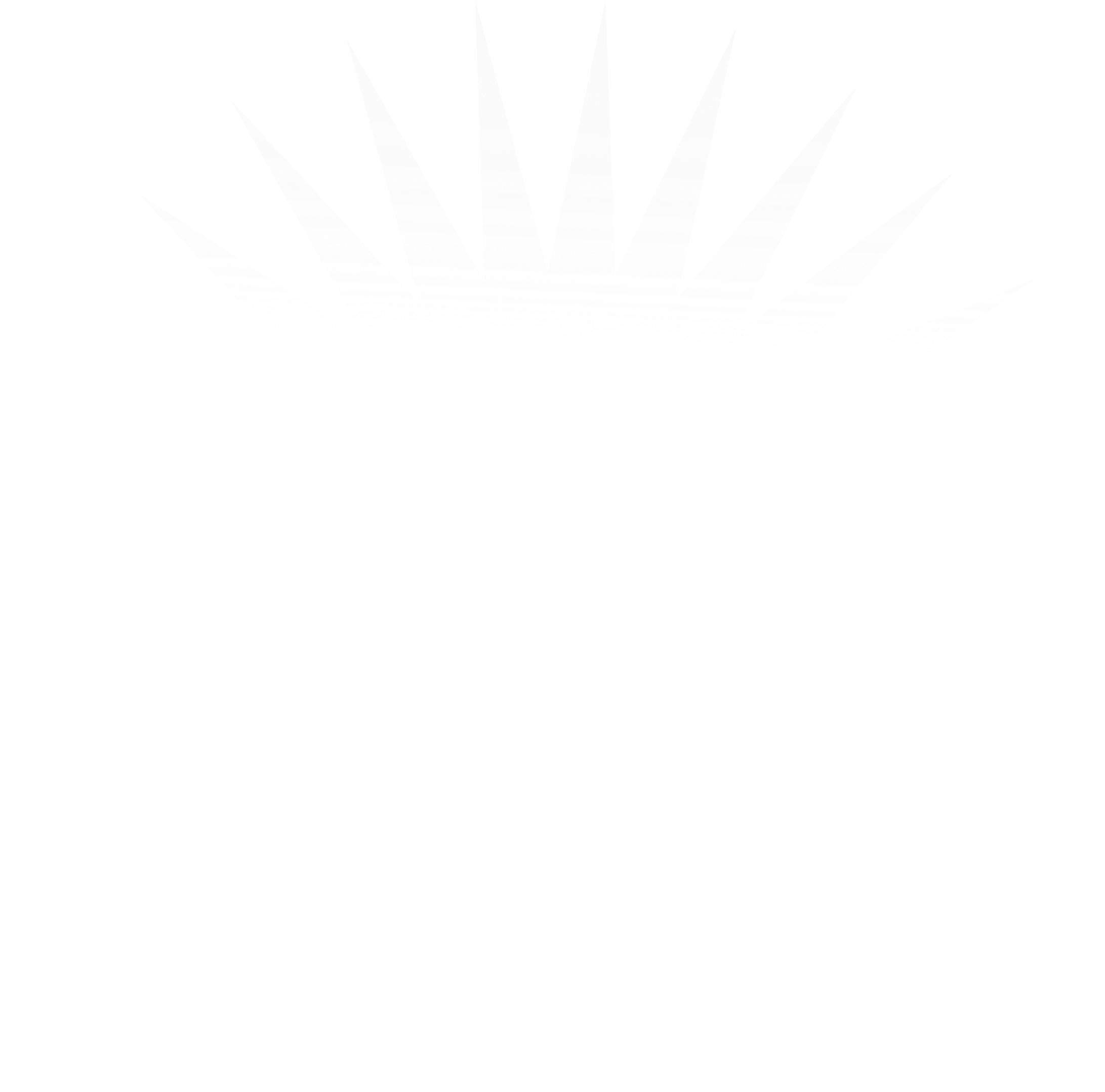 Imagem de uma estrela com várias pontas.